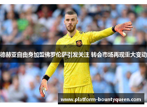 德赫亚自由身加盟佛罗伦萨引发关注 转会市场再现重大变动
