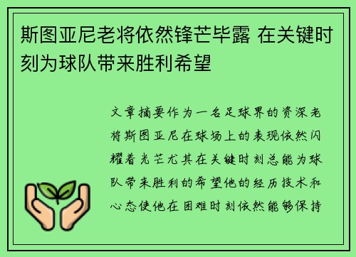 斯图亚尼老将依然锋芒毕露 在关键时刻为球队带来胜利希望